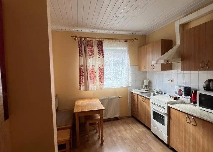 Cozy Maumedziu Апартаменти Вільнюс